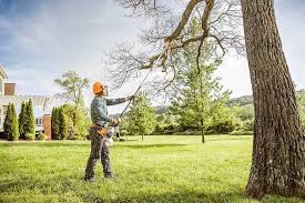 Best Firewood Processing and Delivery  in Napervle, IL